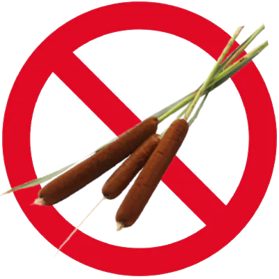 Image of Cat Tail Weed superimposed on red prohibited circle